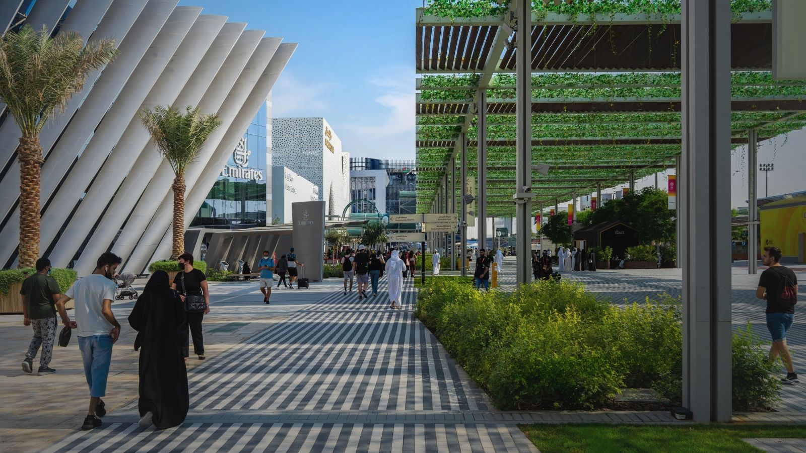 The Evolution of Green Building Standards: What 成人片毛片a片免费观看乱派 Consultants Need to Know