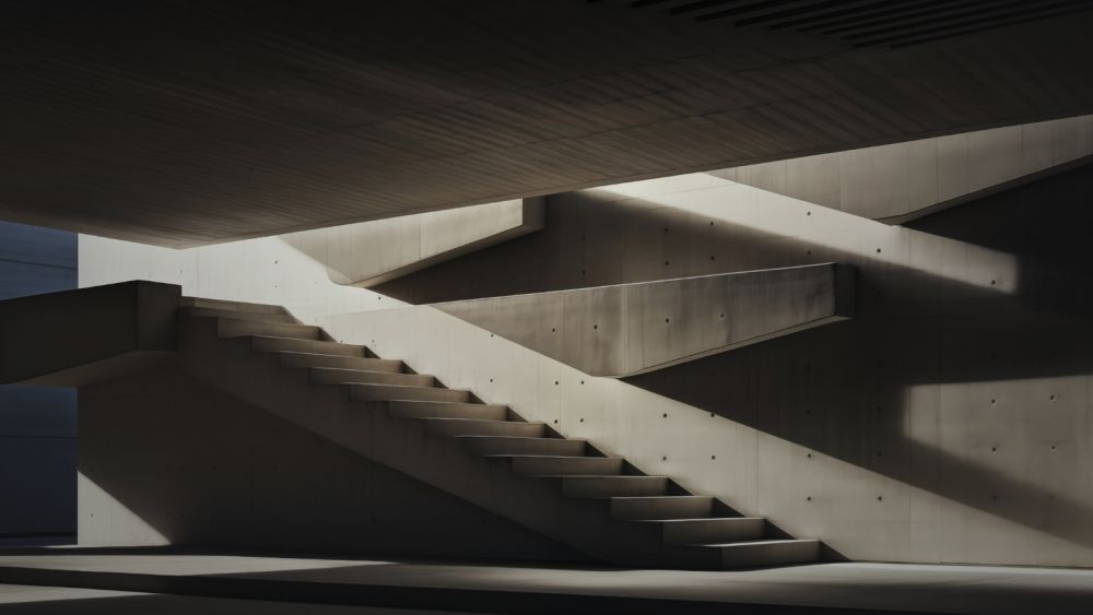 The Functional Anatomy of Reinforced Structures in 日本极品少妇videossexhd