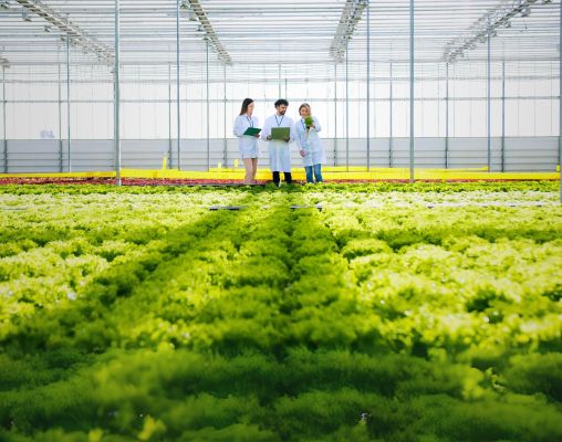 Agriculture & Agritech